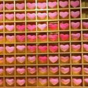 うみ 今日は18時まで💕 ドマーニ