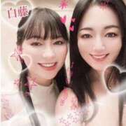 ヒメ日記 2025/04/01 23:00 投稿 月島もも プレジデントクラブ