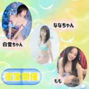 ヒメ日記 2025/04/03 01:42 投稿 月島もも プレジデントクラブ