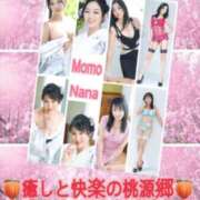 ヒメ日記 2025/06/13 00:03 投稿 月島もも プレジデントクラブ