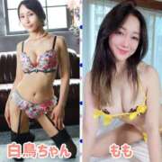 ヒメ日記 2025/10/11 00:36 投稿 月島もも プレジデントクラブ