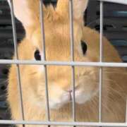 ヒメ日記 2025/12/07 00:39 投稿 月島もも プレジデントクラブ