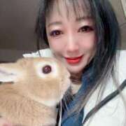 ヒメ日記 2025/12/13 08:39 投稿 月島もも プレジデントクラブ