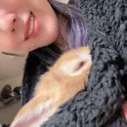 ヒメ日記 2025/12/31 22:48 投稿 月島もも プレジデントクラブ