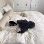 ヒメ日記 2026/02/01 15:00 投稿 月島もも プレジデントクラブ