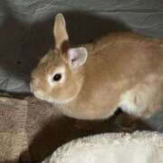 ヒメ日記 2026/02/16 00:50 投稿 月島もも プレジデントクラブ