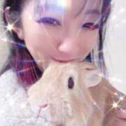 ヒメ日記 2026/02/17 07:01 投稿 月島もも プレジデントクラブ