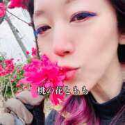 ヒメ日記 2026/03/26 06:45 投稿 月島もも プレジデントクラブ