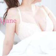 ヒメ日記 2026/01/25 11:38 投稿 京本 彩音 白夜