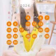 ヒメ日記 2026/02/22 11:38 投稿 京本 彩音 白夜