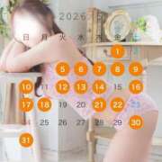 ヒメ日記 2026/04/17 23:59 投稿 京本 彩音 白夜