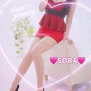 ヒメ日記 2026/02/27 08:27 投稿 そら MOTHER(旧ママとおねえさん)