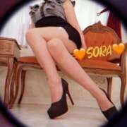 ヒメ日記 2026/03/07 01:01 投稿 そら MOTHER(旧ママとおねえさん)