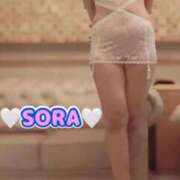 ヒメ日記 2026/03/14 18:51 投稿 そら MOTHER(旧ママとおねえさん)