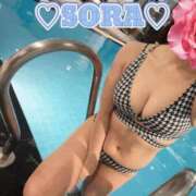 ヒメ日記 2026/03/18 07:31 投稿 そら MOTHER(旧ママとおねえさん)