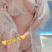 ヒメ日記 2026/03/22 09:41 投稿 そら MOTHER(旧ママとおねえさん)