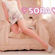 ヒメ日記 2026/03/30 09:11 投稿 そら MOTHER(旧ママとおねえさん)