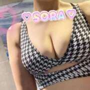 ヒメ日記 2026/04/01 18:51 投稿 そら MOTHER(旧ママとおねえさん)