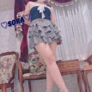 ヒメ日記 2026/04/02 09:01 投稿 そら MOTHER(旧ママとおねえさん)