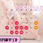 ヒメ日記 2026/04/13 15:51 投稿 そら MOTHER(旧ママとおねえさん)