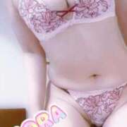 ヒメ日記 2026/04/27 08:21 投稿 そら MOTHER(旧ママとおねえさん)