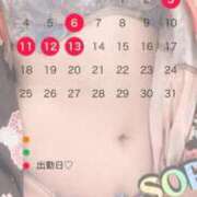 ヒメ日記 2026/09/30 10:02 投稿 そら MOTHER(旧ママとおねえさん)