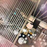 ヒメ日記 2025/02/28 08:15 投稿 さくら 福岡飯塚田川ちゃんこ