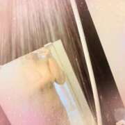 ヒメ日記 2025/04/27 12:25 投稿 さくら 福岡飯塚田川ちゃんこ