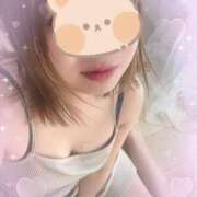 ヒメ日記 2025/04/28 12:06 投稿 さくら 福岡飯塚田川ちゃんこ