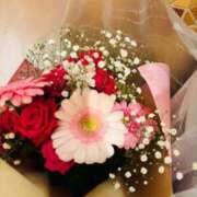 ヒメ日記 2025/05/06 05:55 投稿 さくら 福岡飯塚田川ちゃんこ