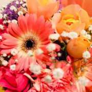 ヒメ日記 2025/06/16 05:35 投稿 さくら 福岡飯塚田川ちゃんこ