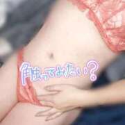 ヒメ日記 2025/08/24 10:05 投稿 さくら 福岡飯塚田川ちゃんこ