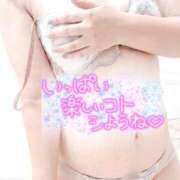 ヒメ日記 2025/08/28 09:35 投稿 さくら 福岡飯塚田川ちゃんこ