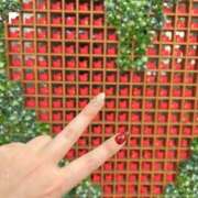 ヒメ日記 2025/09/18 16:15 投稿 さくら 福岡飯塚田川ちゃんこ