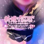 ヒメ日記 2025/10/06 09:05 投稿 さくら 福岡飯塚田川ちゃんこ