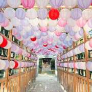 ヒメ日記 2025/10/27 15:05 投稿 さくら 福岡飯塚田川ちゃんこ