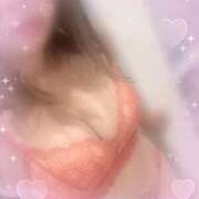 ヒメ日記 2025/11/04 06:55 投稿 さくら 福岡飯塚田川ちゃんこ