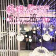 ヒメ日記 2025/11/11 17:45 投稿 さくら 福岡飯塚田川ちゃんこ