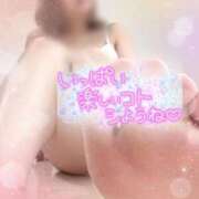 ヒメ日記 2026/02/16 07:45 投稿 さくら 福岡飯塚田川ちゃんこ