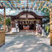 ヒメ日記 2026/07/11 17:05 投稿 さくら 福岡飯塚田川ちゃんこ