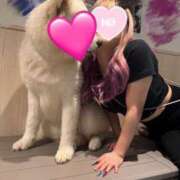 ヒメ日記 2025/07/17 19:42 投稿 ほたる 黒い金魚（札幌）