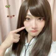 ヒメ日記 2024/12/22 13:00 投稿 常盤すずか ニューハーフヘルスLIBE大阪梅田店