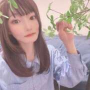 ヒメ日記 2025/04/20 15:56 投稿 常盤すずか ニューハーフヘルスLIBE大阪梅田店