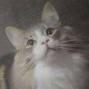 ヒメ日記 2025/08/02 03:00 投稿 けい 北九州熟女倶楽部　五十路