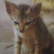 ヒメ日記 2025/08/24 03:00 投稿 けい 北九州熟女倶楽部　五十路