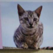 ヒメ日記 2025/08/26 02:00 投稿 けい 北九州熟女倶楽部　五十路