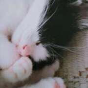 ヒメ日記 2025/09/07 03:00 投稿 けい 北九州熟女倶楽部　五十路