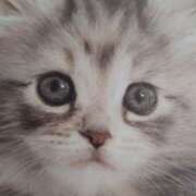 ヒメ日記 2025/09/14 03:00 投稿 けい 北九州熟女倶楽部　五十路