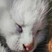 ヒメ日記 2025/09/19 03:00 投稿 けい 北九州熟女倶楽部　五十路