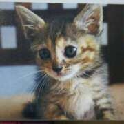 ヒメ日記 2025/09/26 03:00 投稿 けい 北九州熟女倶楽部　五十路